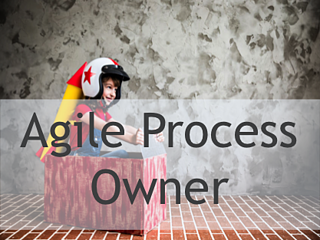 Certified Agile Process Owner (CAPO)