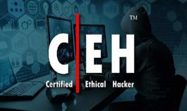Certified Ethical Hacking (CEH)