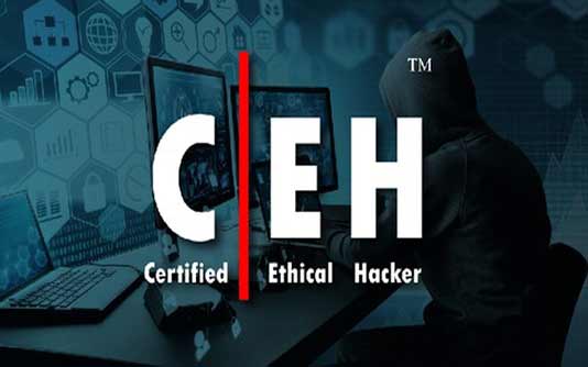 Certified Ethical Hacking (CEH)